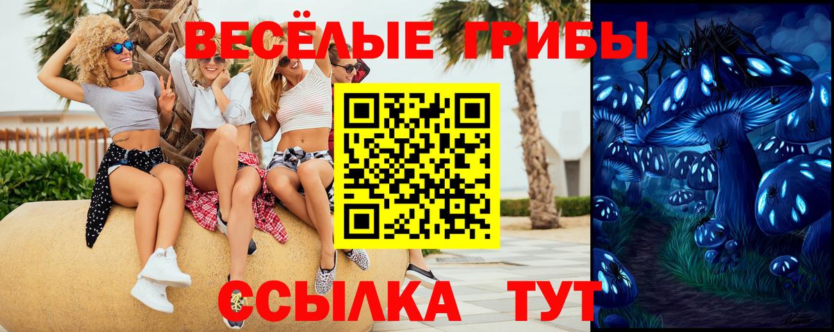Орехово-Зуево  Галлюциногенные грибы Cubensis  Псилоцибиновые грибы мицелий  Вход с VPN 